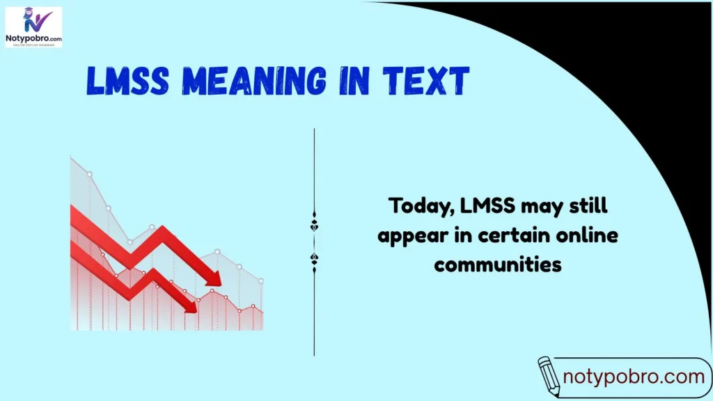 Background of LMSS