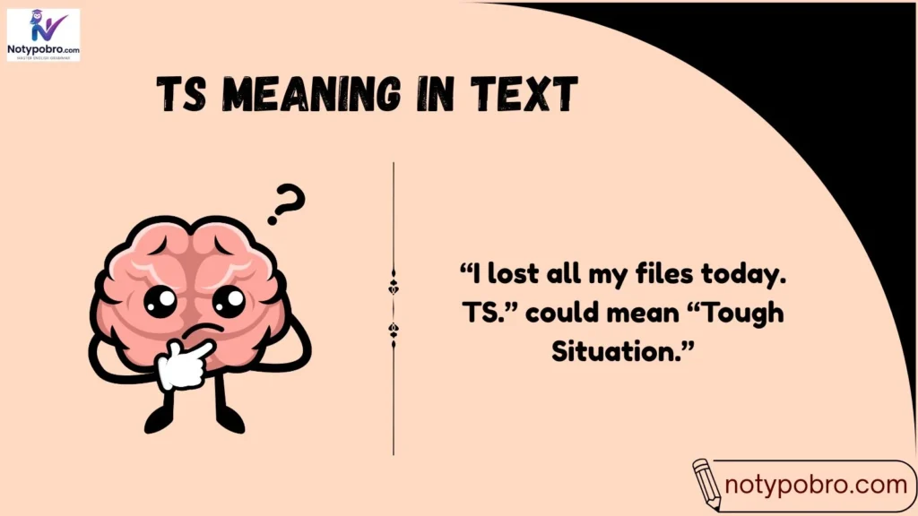 Meaning & Definition of TS
