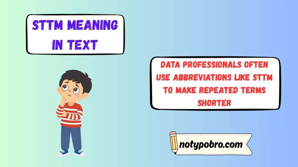 STTM Meaning in Data