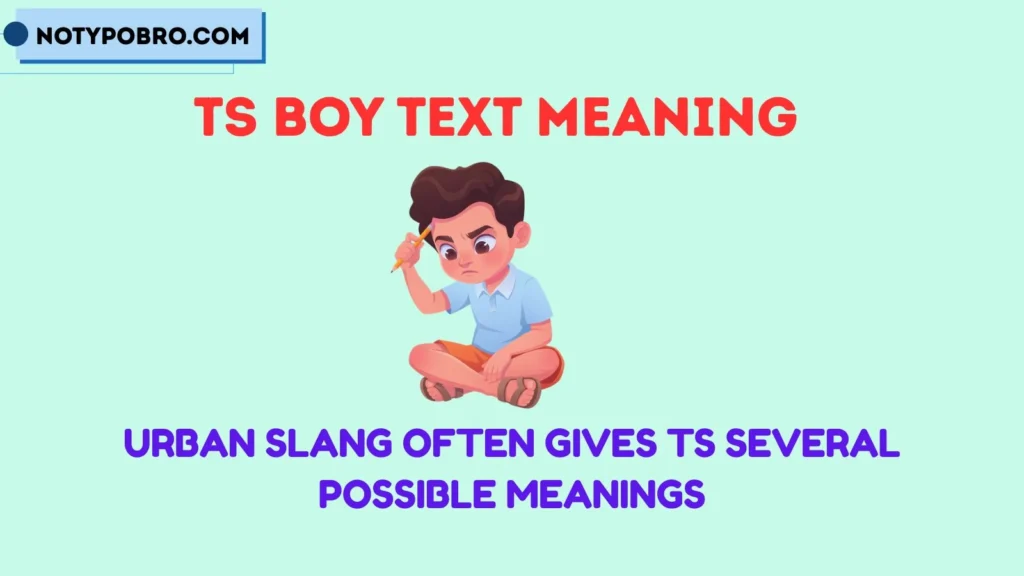 TS Boy Text Meaning Urban Dictionary