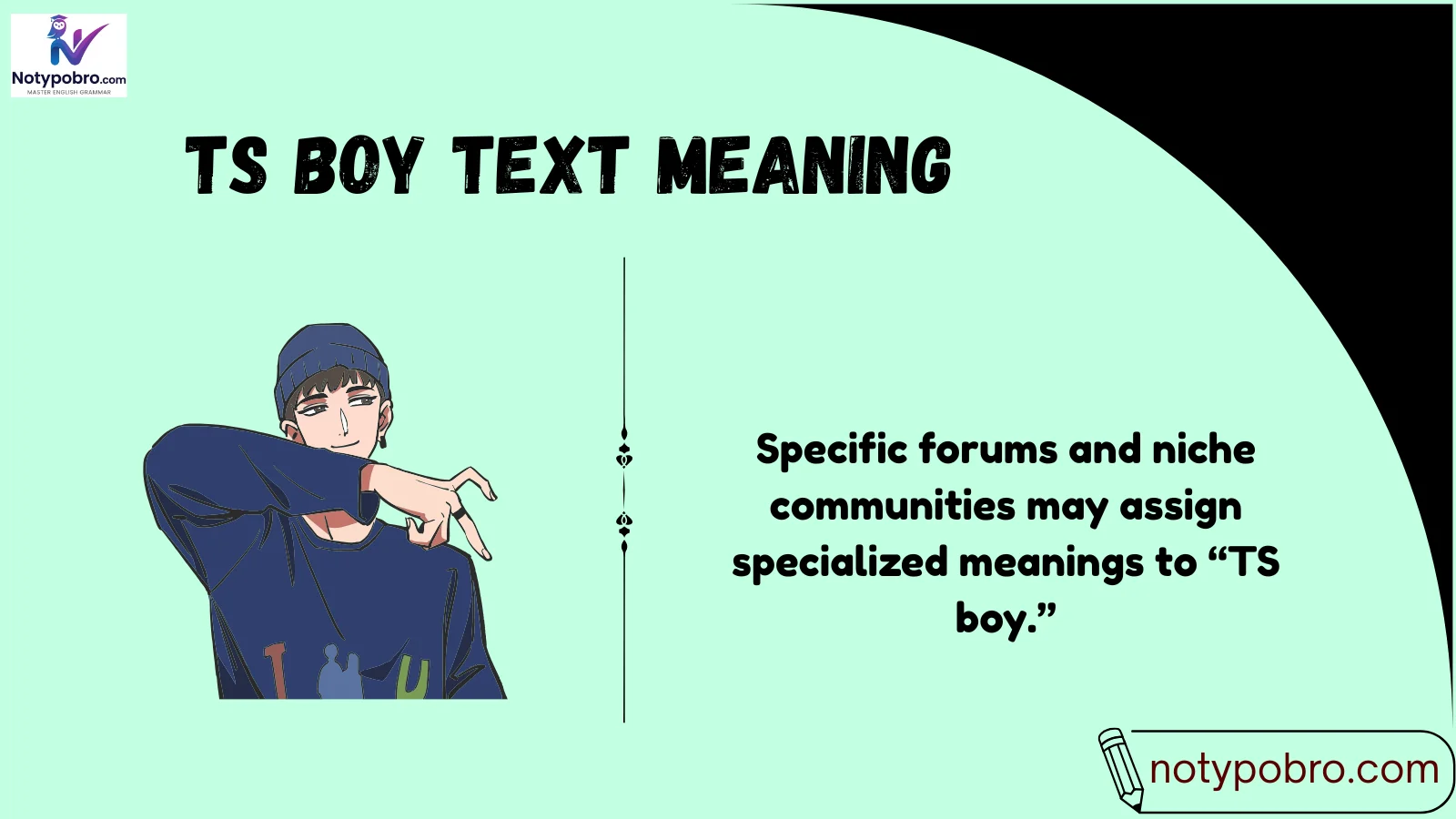 ts boy text meaning