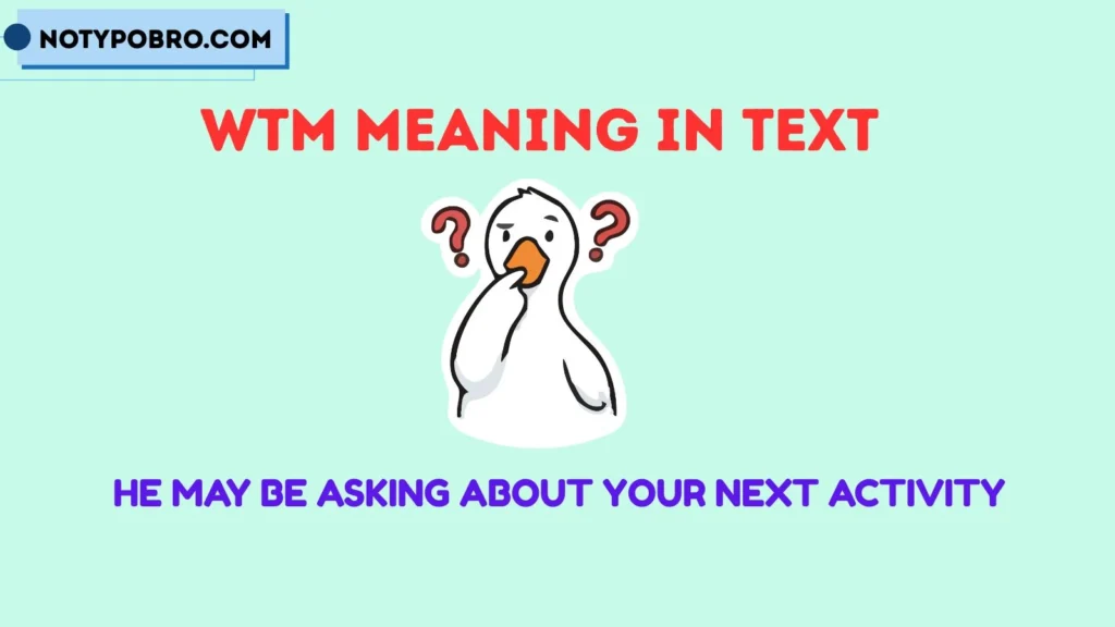 WTM Meaning in Text From a Guy