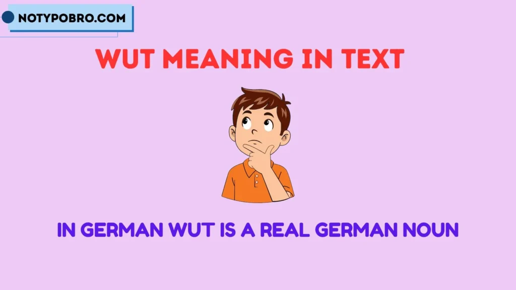 Wut Meaning German