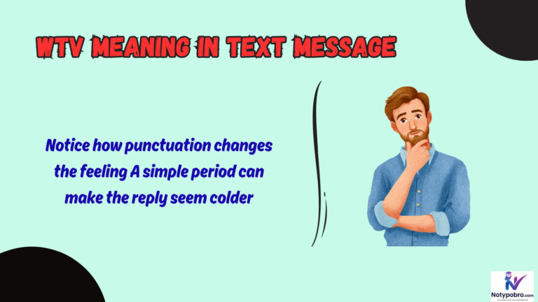 wtv meaning in text message